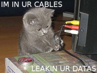 In ur cables